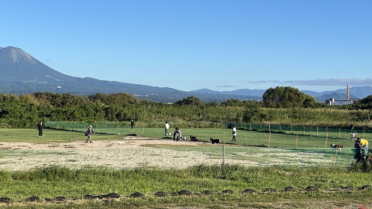 日野川ドッグラン