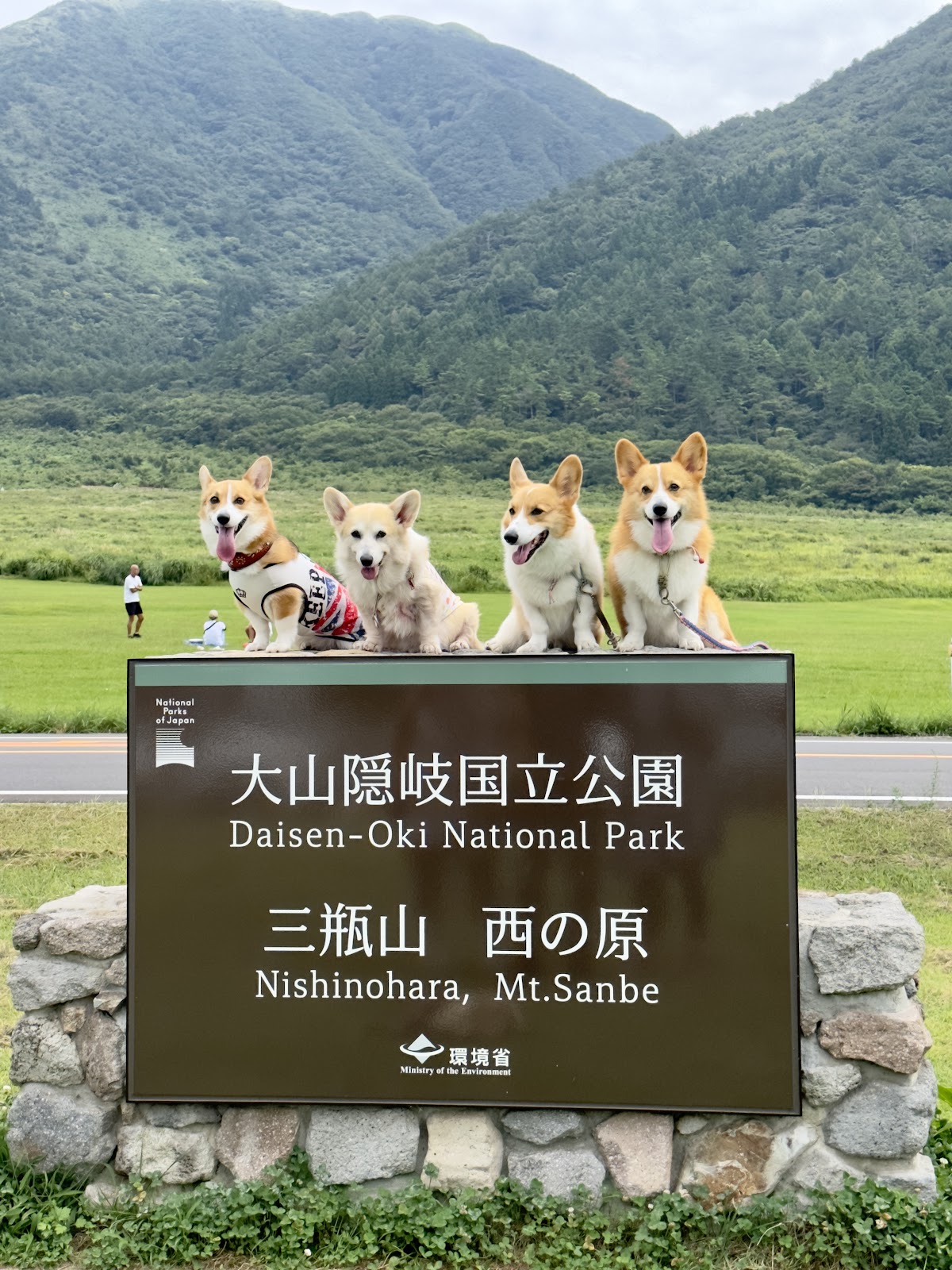 るるららべーす(わんこと一緒に泊まれる民泊)