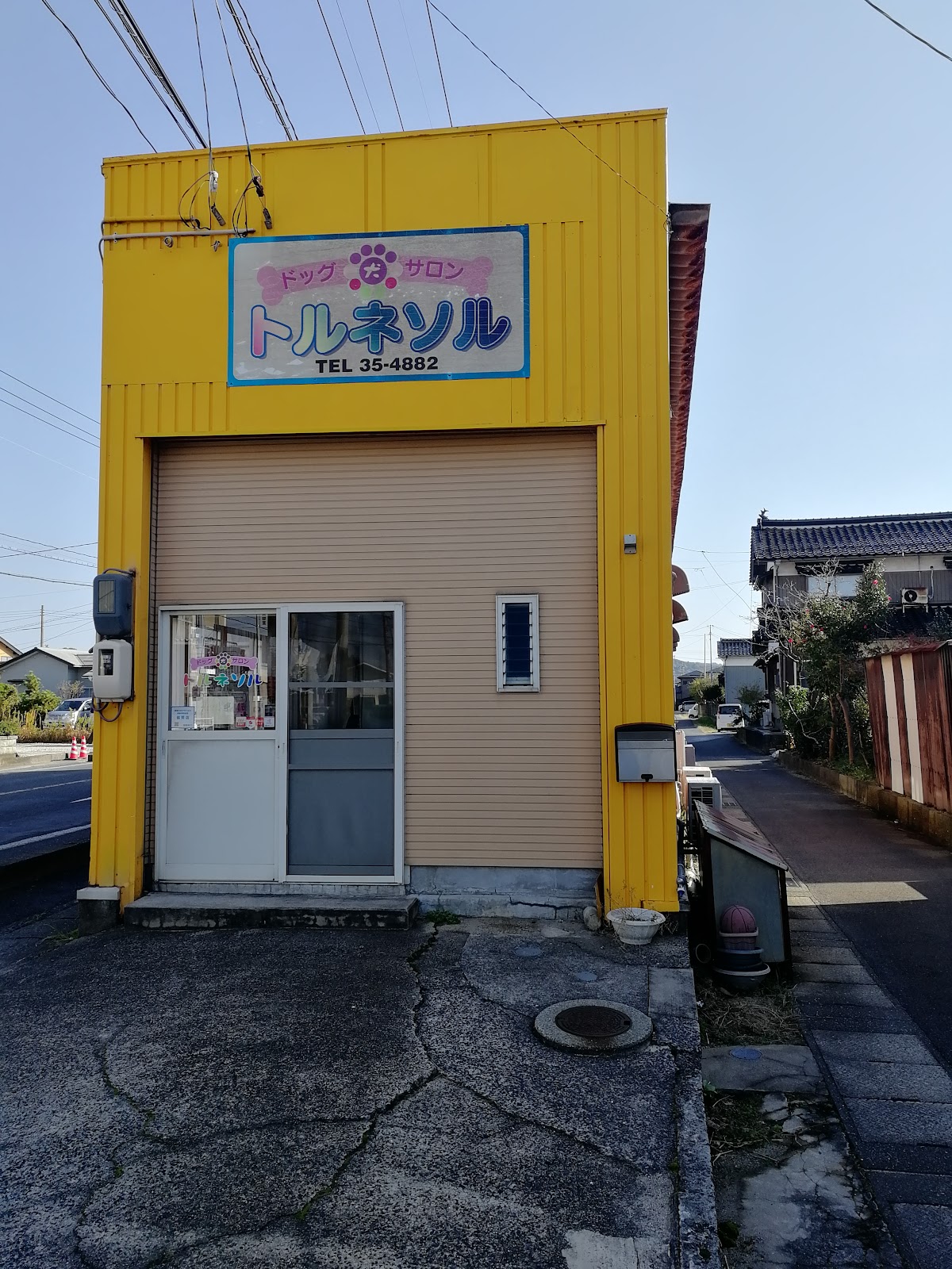 ドッグサロントルネソル