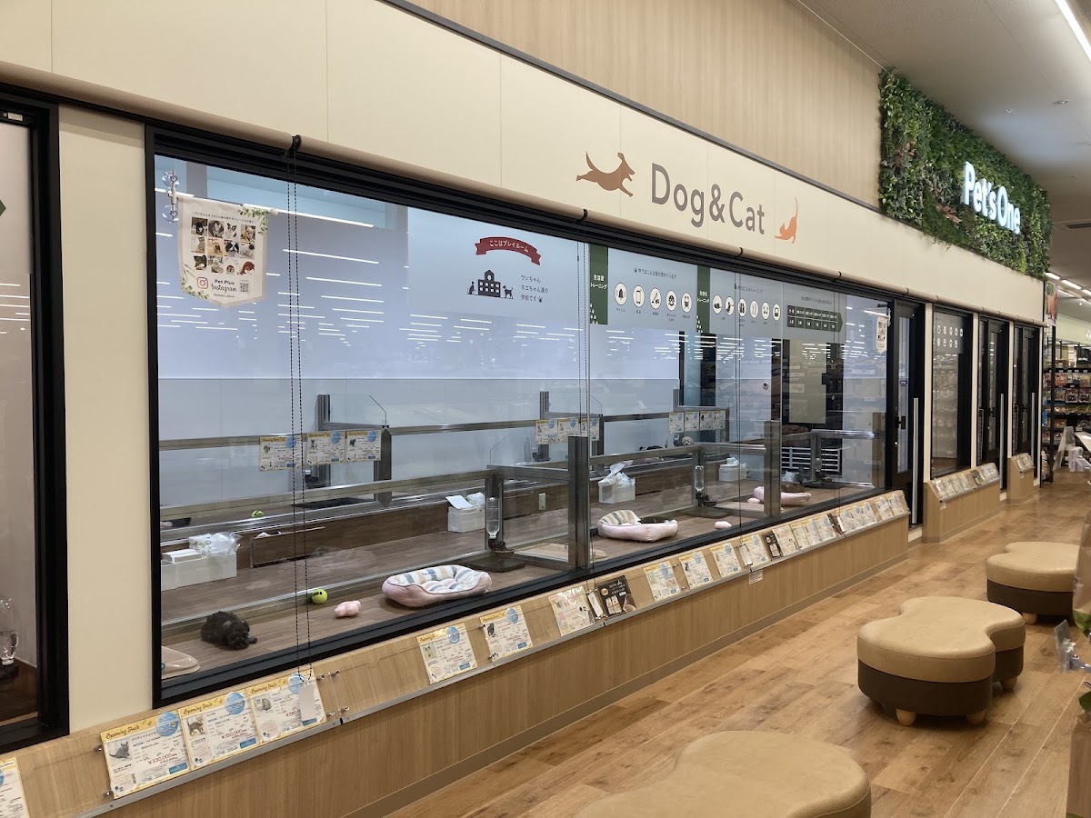 ペッツワン 日吉津店