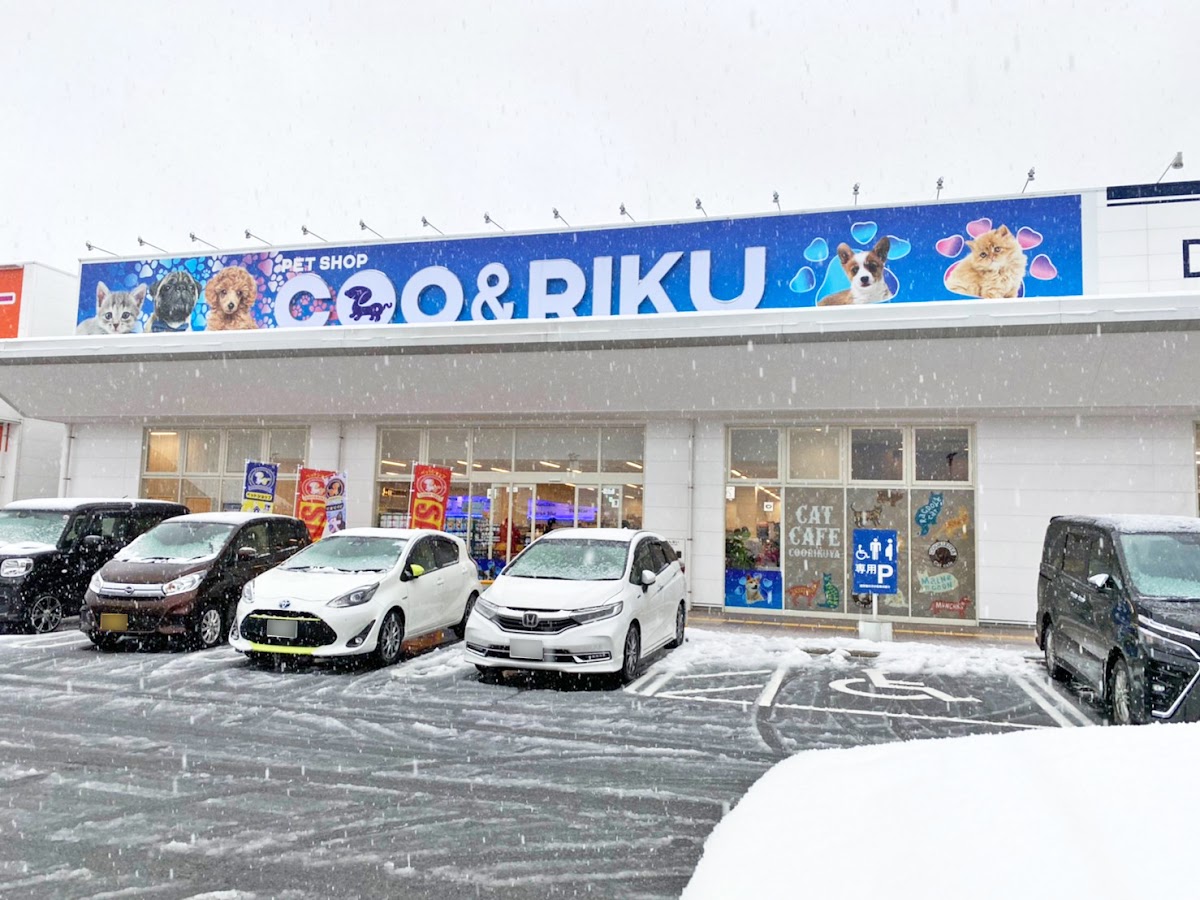 ペットショップCoo&RIKU ラ・ムー鳥取東店