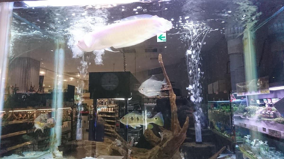 ひごペットフレンドリー イオンモール鳥取北店