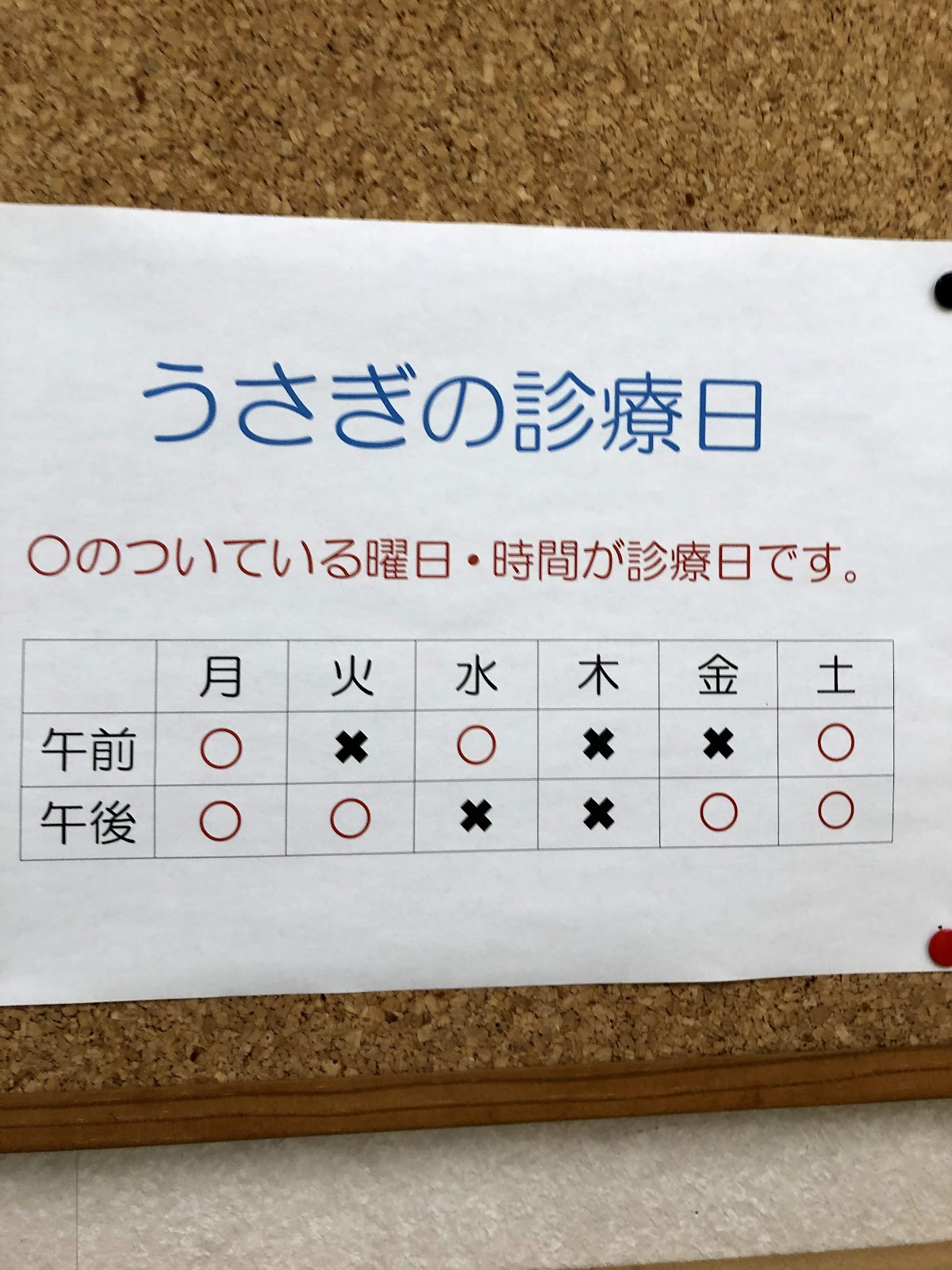 岡本動物病院