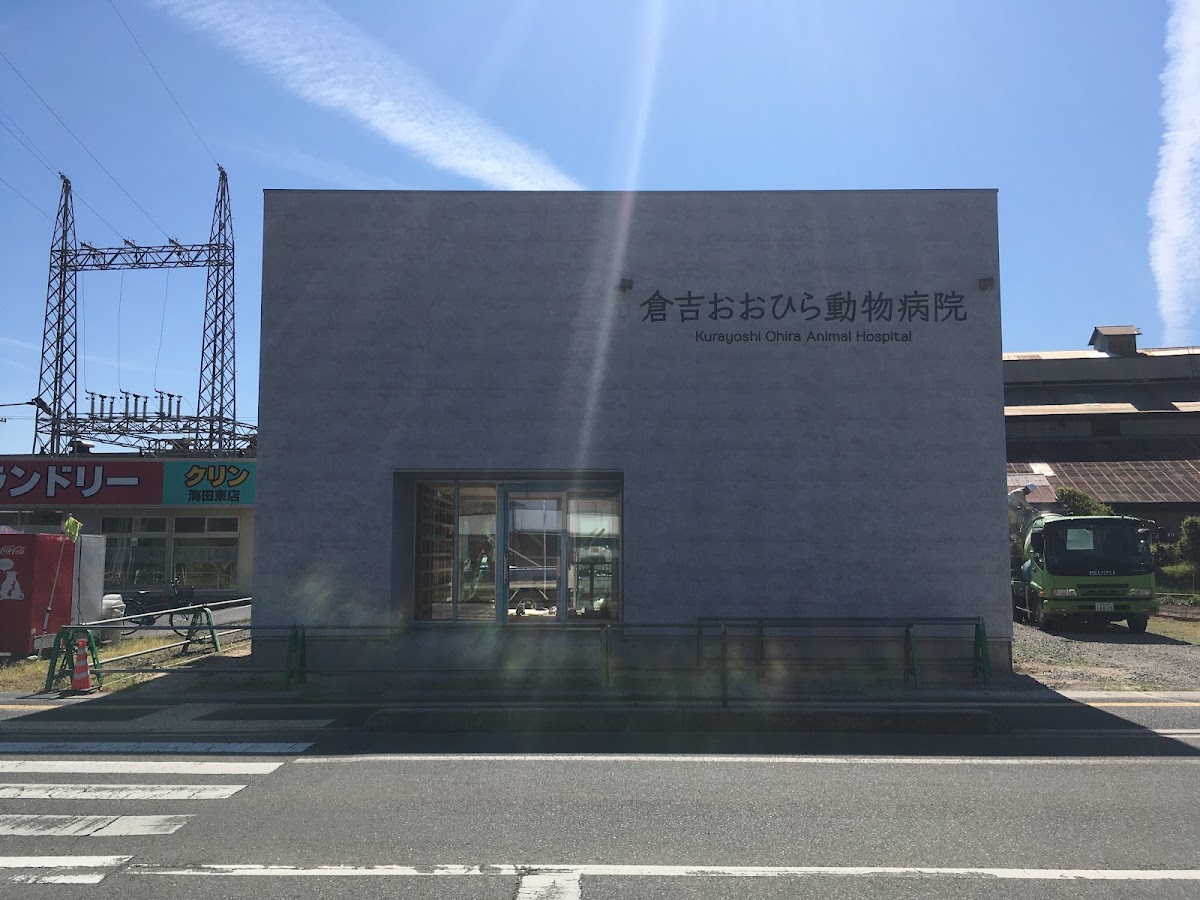 倉吉おおひら動物病院