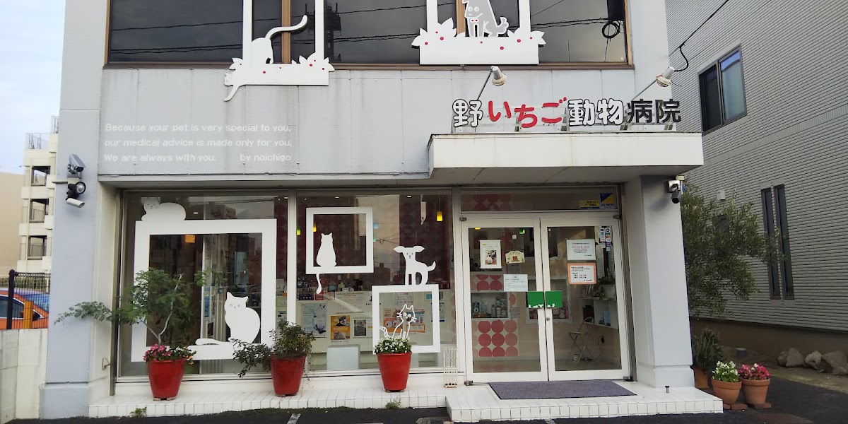 野いちご動物病院
