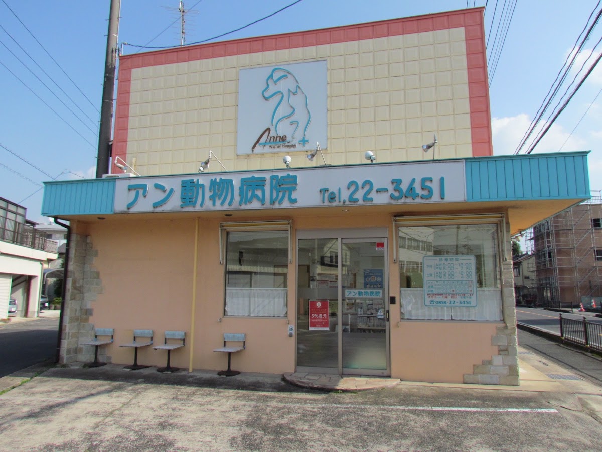 アン動物病院