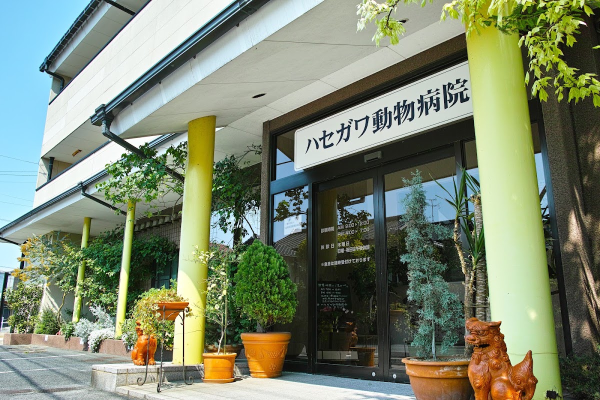 ハセガワ動物病院