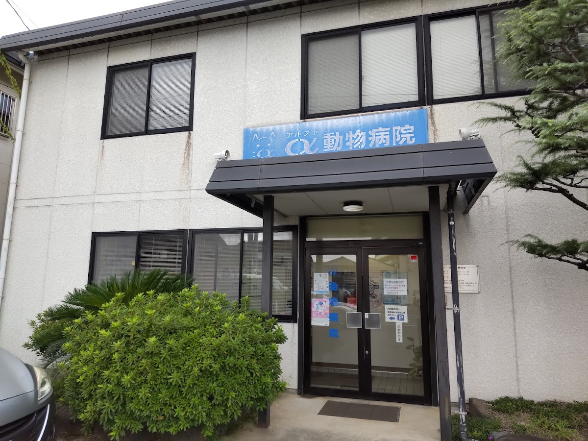アルファ動物病院